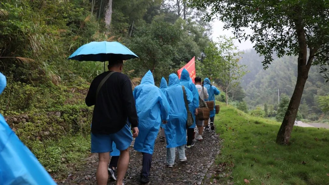 6b8ec833b51c4384b954a41f4db03e86